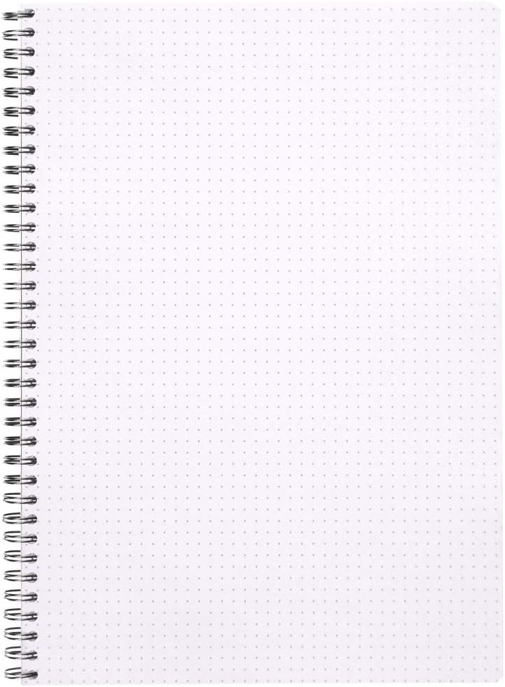 Rhodia dot grid notebook for math notes
