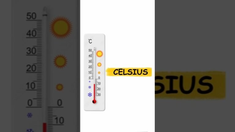 Everything You Need to Know About Celsius