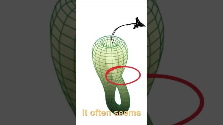 Klein Bottle – The 4D Shape With No Inside or Outside