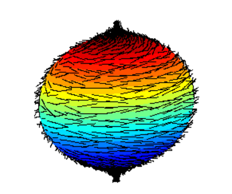 Illustration of Hairy Ball Theorem